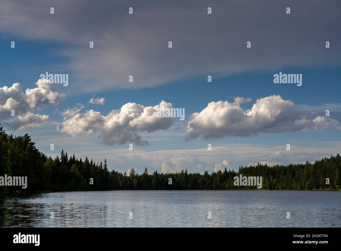 Friedliche idyllische Seenlandschaft mit üppig grüner Sommervegetation unter blauem Himmel mit weißen Wolken Stockfoto