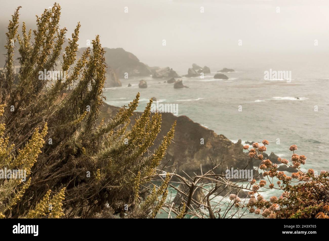 Ein nebliger Tag im Big Sur-Gebiet an der kalifornischen Küste, USA Stockfoto