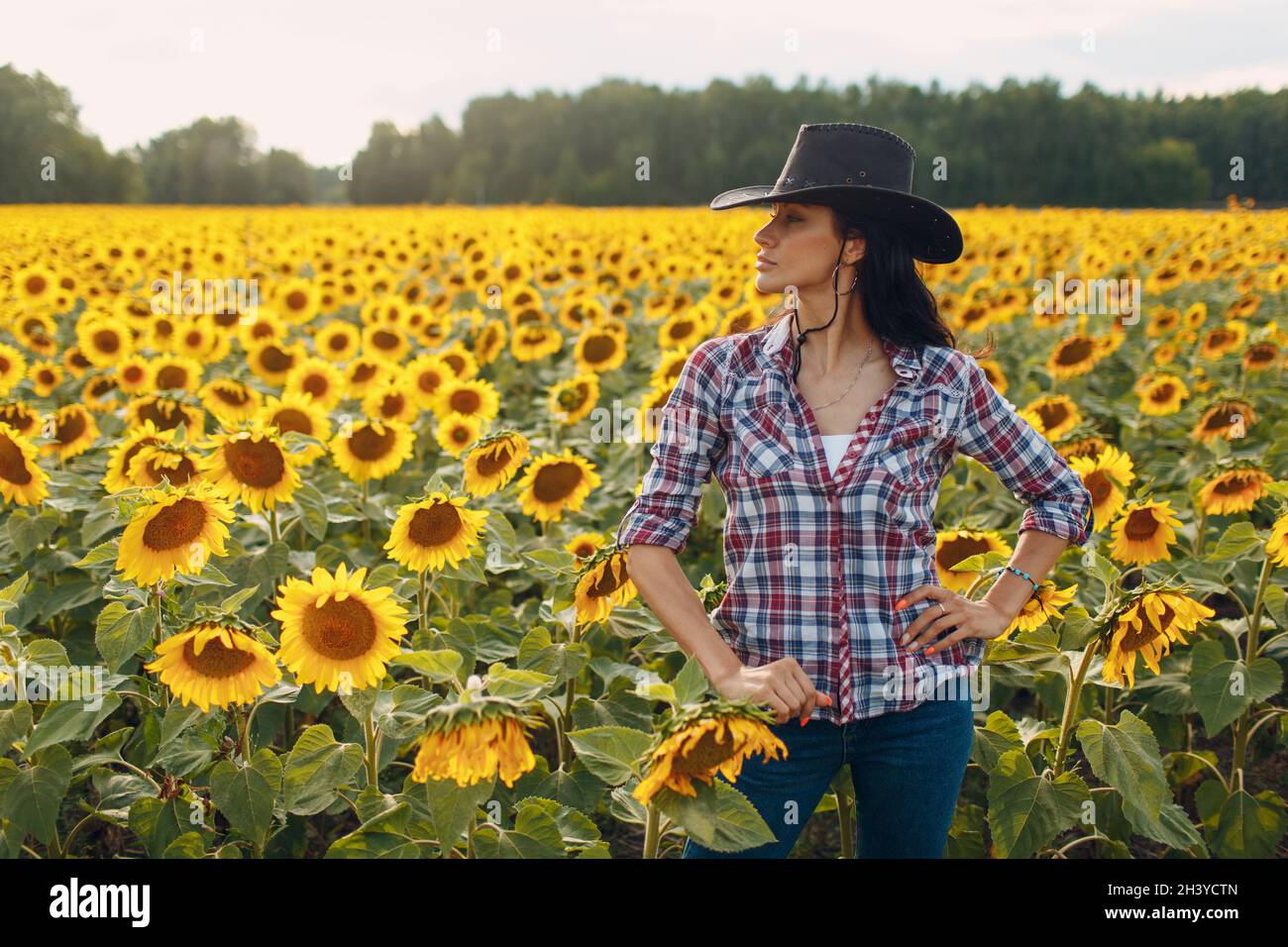 Junge Frau Agronomin trägt Cowboyhut, kariertes Hemd und Jeans auf Sonnenblumenfeld. Umfassendes Erntekonzept. Stockfoto