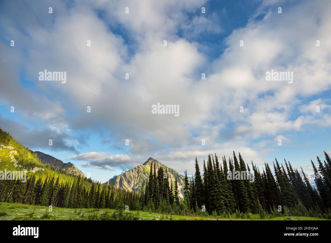 Berge in Washington Stockfoto