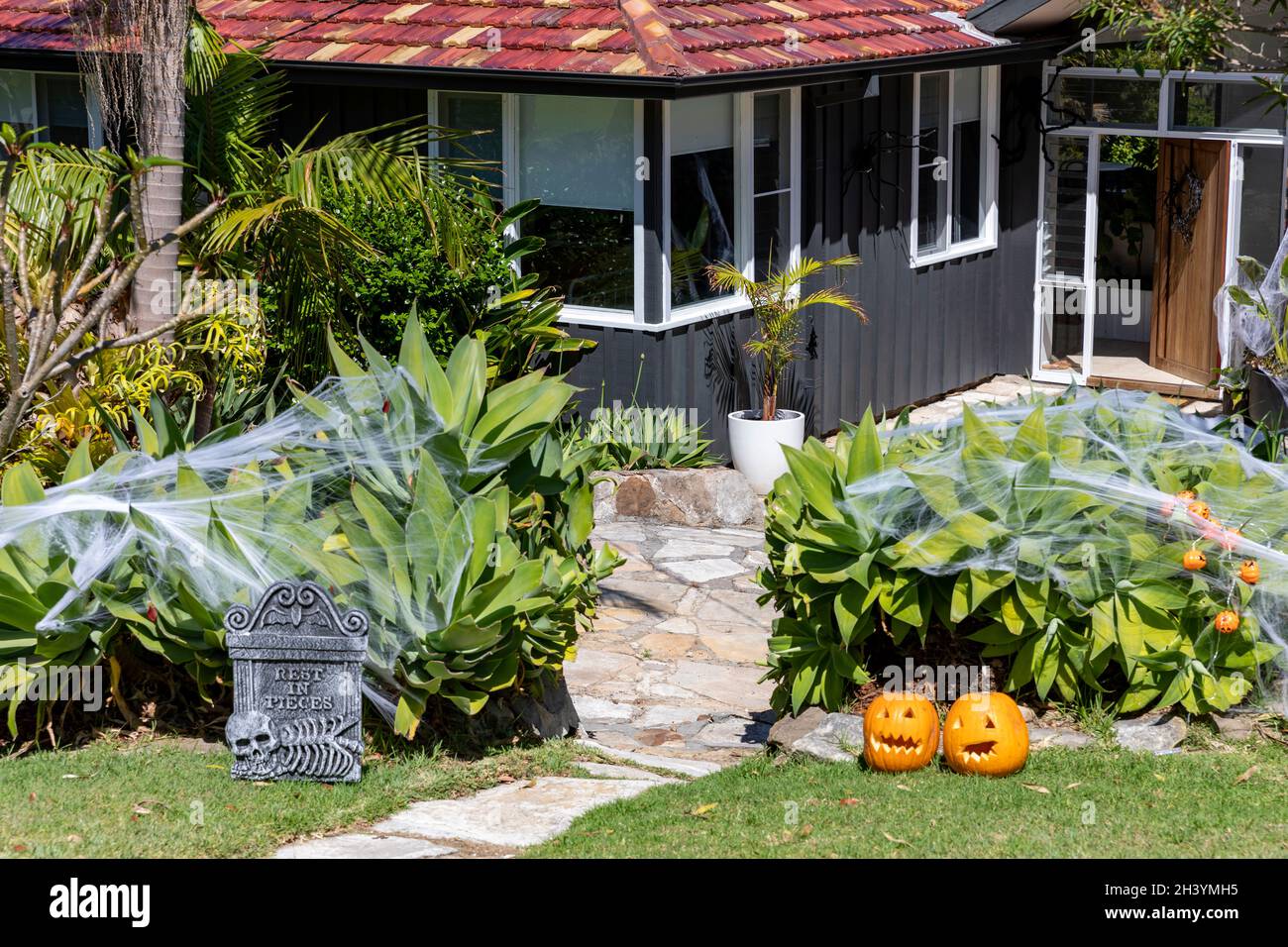 Halloween in Australien Spinnennetz und Kürbisse schmücken einen Garten im Norden Sydneys zu halloween, Australien Stockfoto