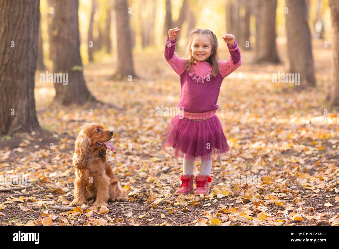 Nettes kleines Mädchen mit Hund im Herbst Park mit Orange Und gelbe Farbe Blätter Stockfoto