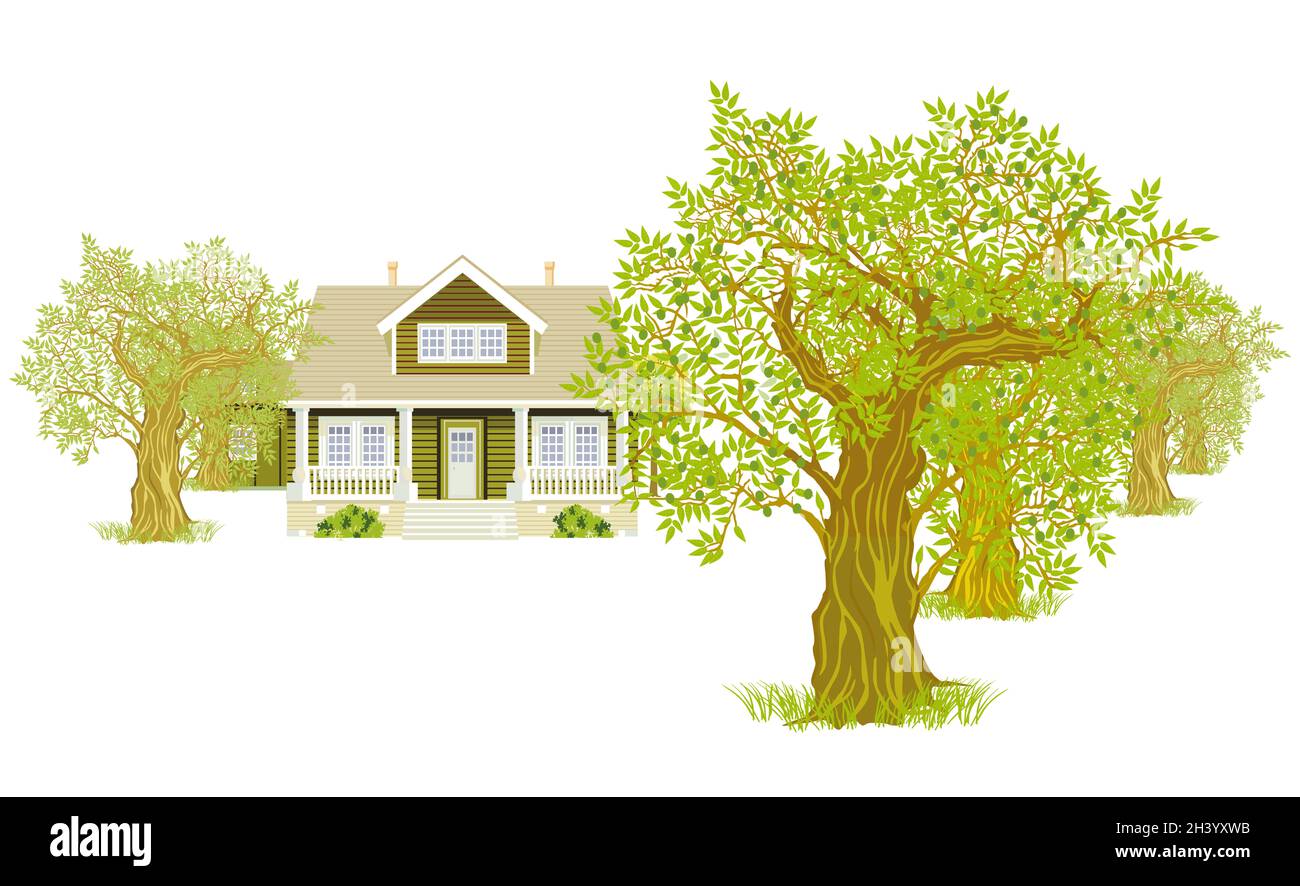 Landhaus zwischen Bäumen isoliert auf weiß, Illustration Stockfoto