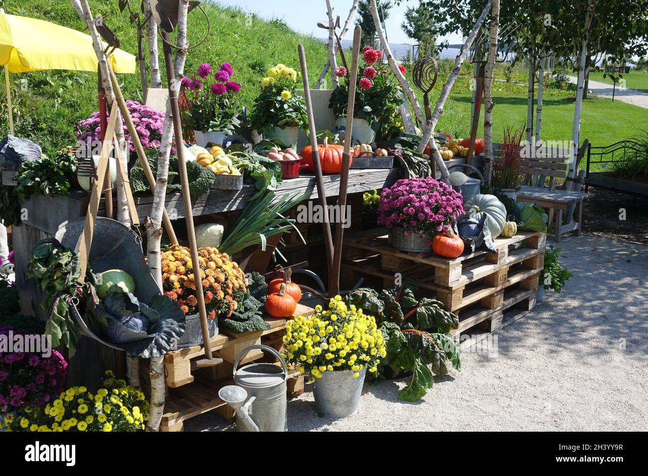 Thanksgiving, Gemüse und Blumen Stockfoto