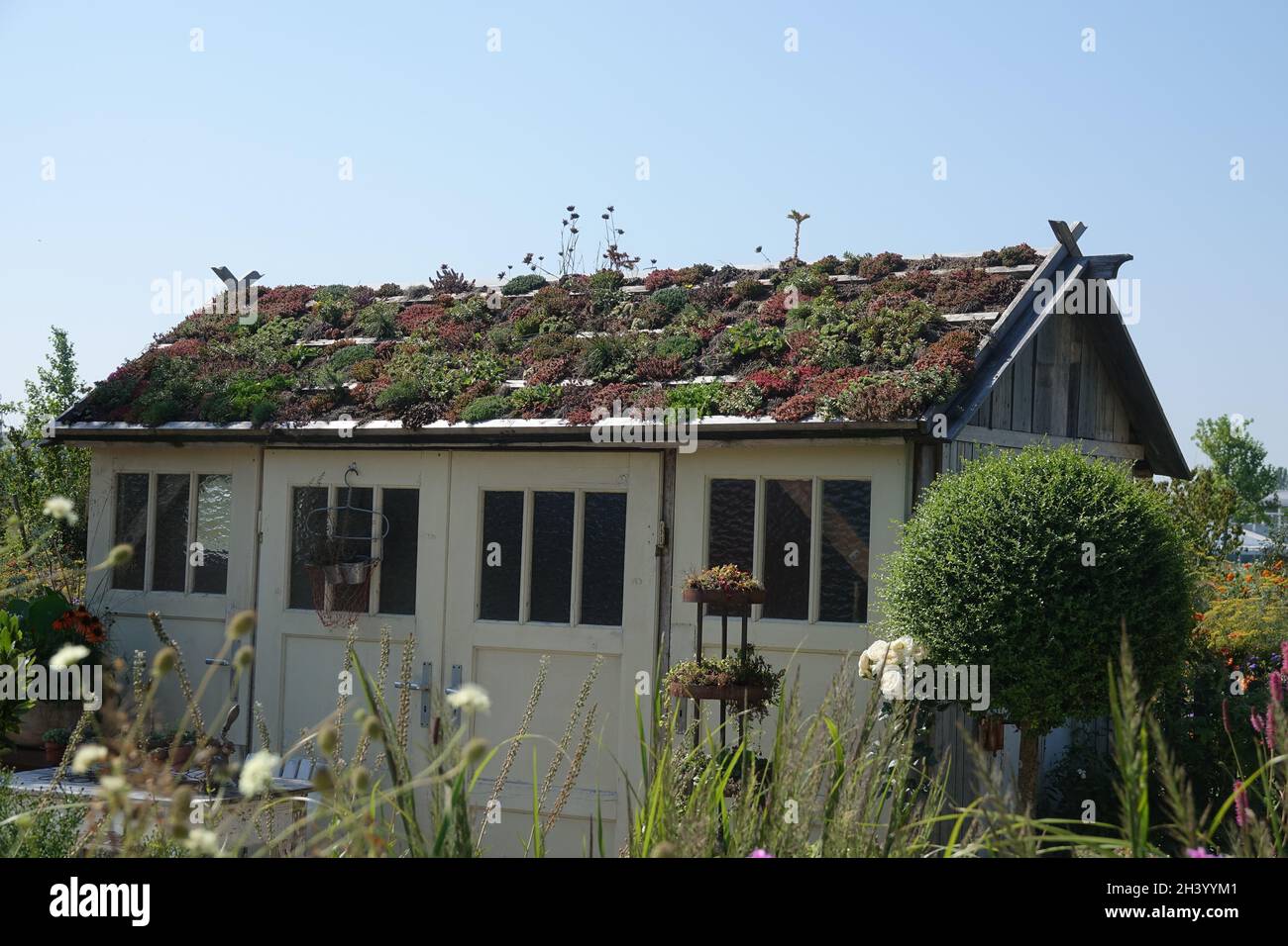 Gartenhaus mit grünem Dach Stockfoto