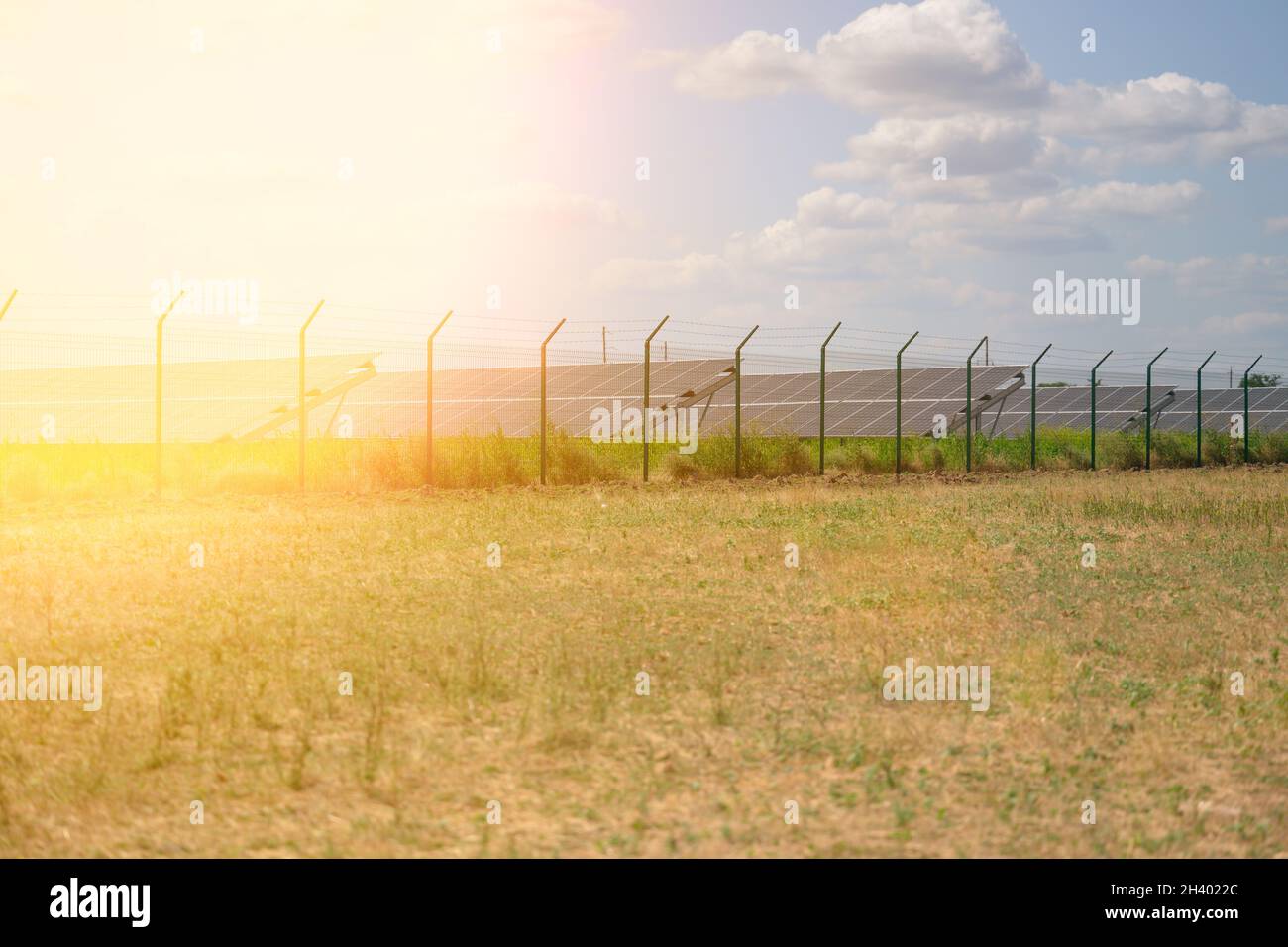 Sonnenkollektoren in der Mitte eines Feldes an einem sonnigen Tag, Ukraine Stockfoto