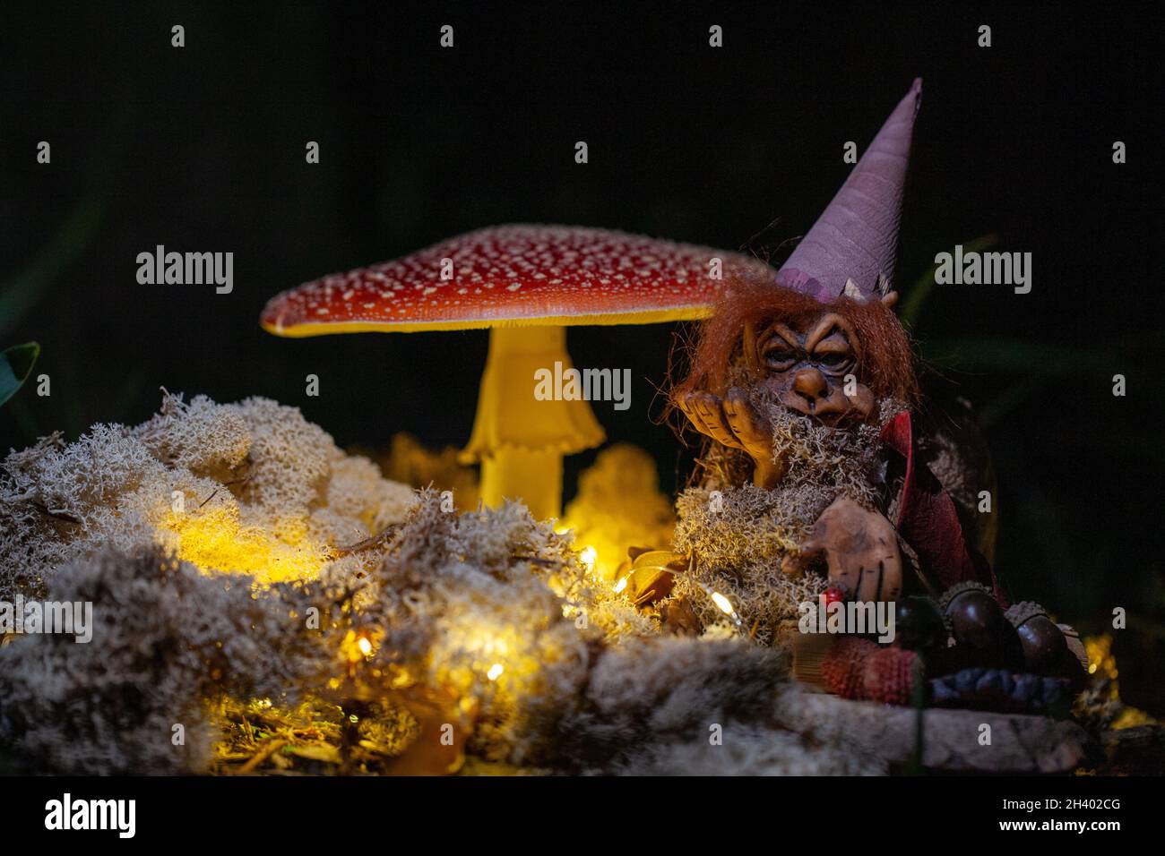 Fantasy Magische Pilze und Elfen im verzauberten Märchen verträumter Elfwald mit fabelhaftem Märchenmoos und Lichtern auf Mysterio Stockfoto