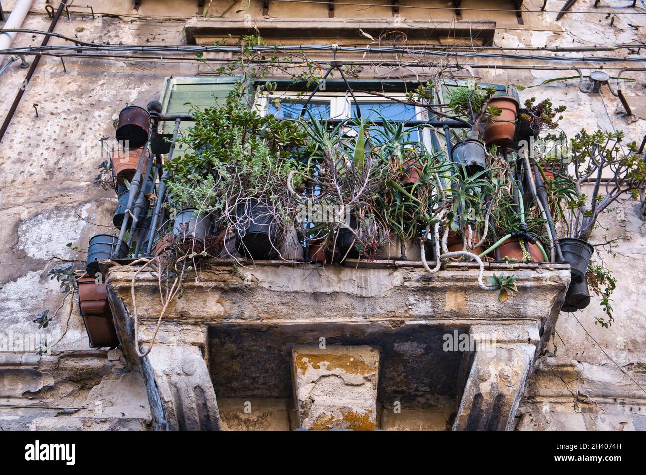 Alter, vernachlässigter Balkon voller Pflanzen Stockfoto