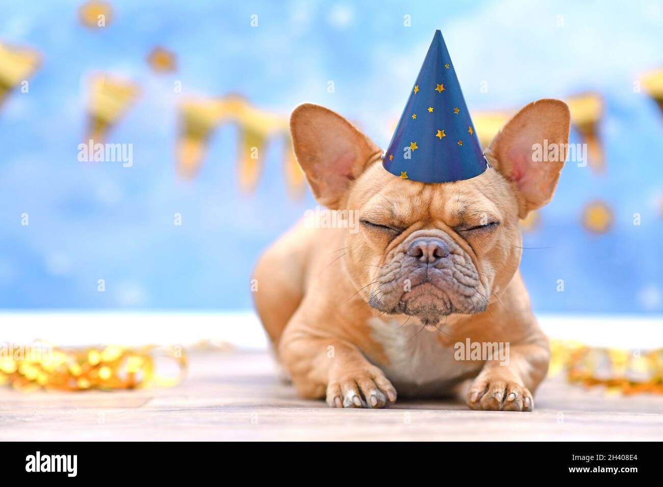 Verschlafen Französisch Bulldog mit Geburtstagsteil Hut vor verschwommenem blauen Hintergrund mit Girlanden und Party-Streamer Stockfoto
