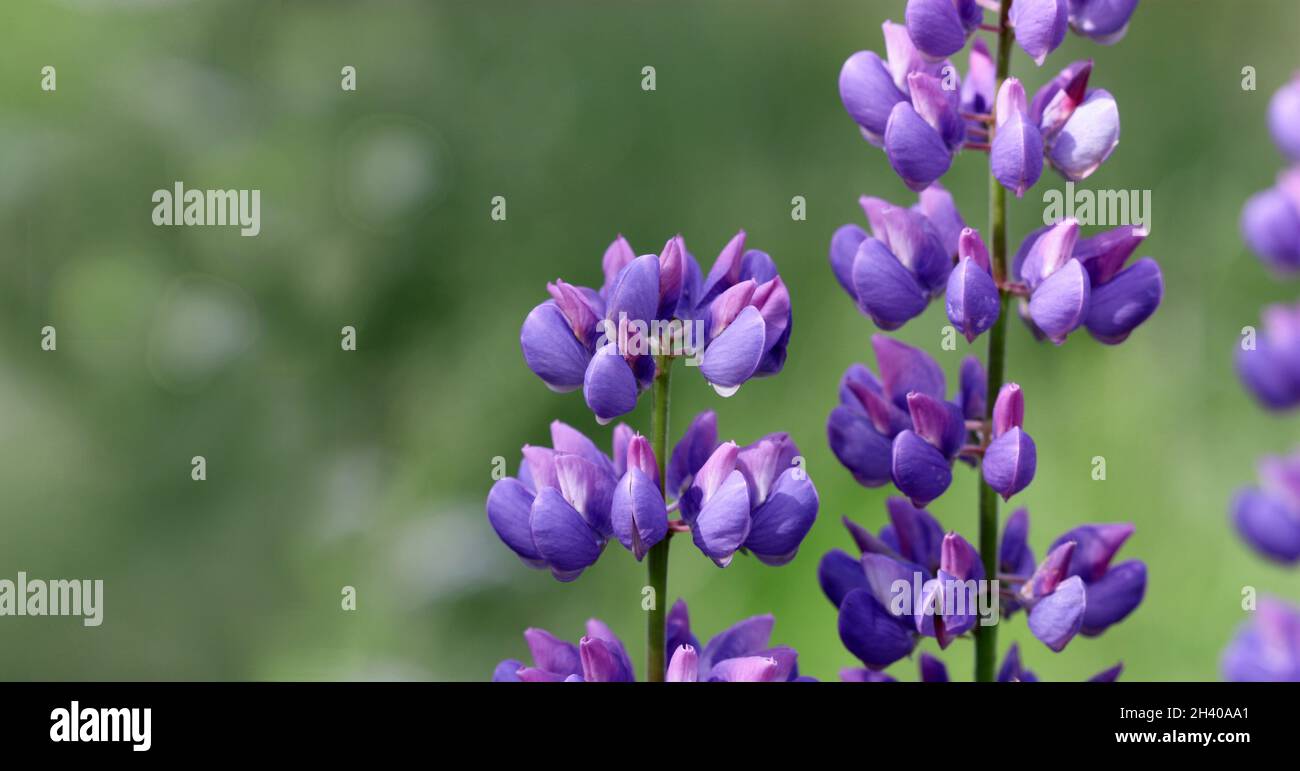 Computer horizontal Fotos und Bildmaterial in hoher Auflösung Alamy