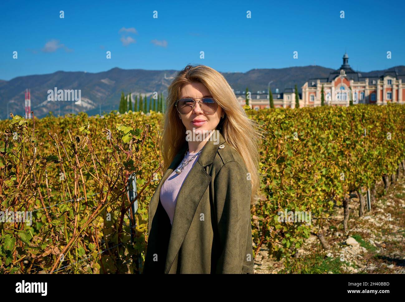 Eine schöne Frau im Park geht mit ihrem Rücken an einem sonnigen Tag unter Birken mit gelben Blättern, sie ist in einem stilvollen Herbstbild in einem Mantel und bere Stockfoto