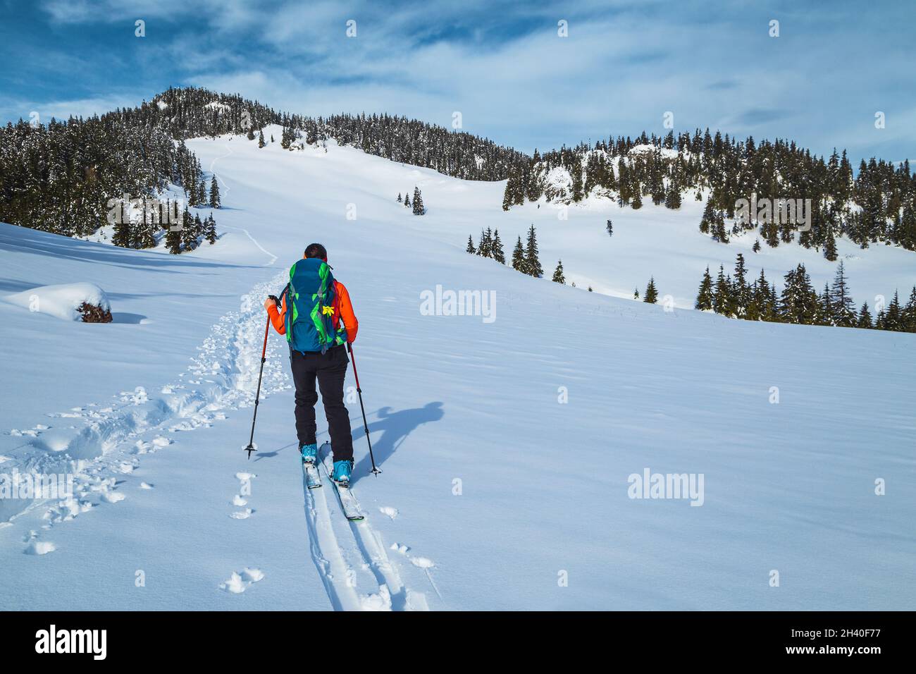 Skilanglauf auf dem verschneiten Hügel. Sportliche Frau mit Rucksack, Skitouren im tiefen Pulverschnee und die Winterlandschaft genießen, Karpaten, TR Stockfoto