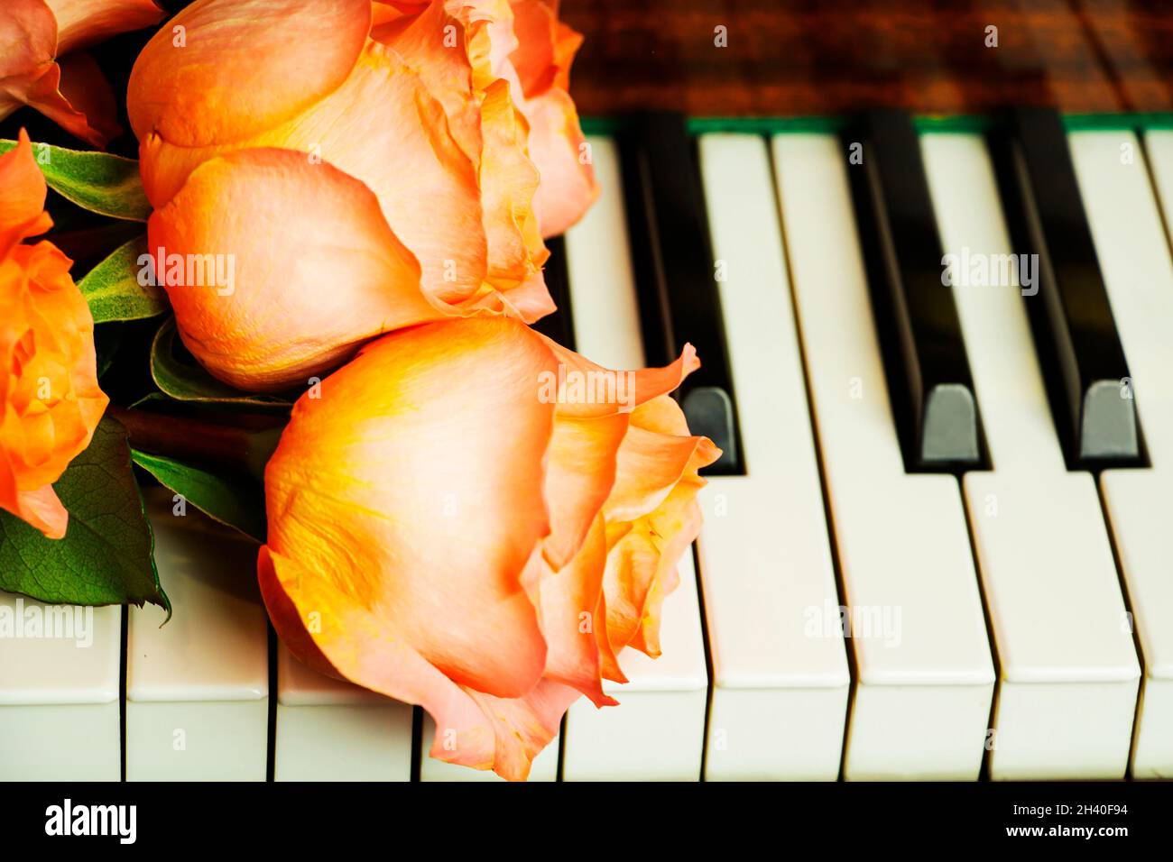 Bouquet von rosa Rosen auf der Klaviertastatur, romantische Atmosphäre. Ein Geschenk von Fans Stockfoto