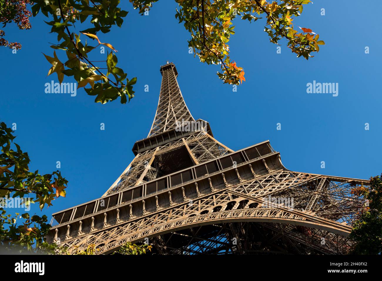 Blick auf den Eiffelturm mit den Farben des Herbstes, Paris, Frankreich Stockfoto