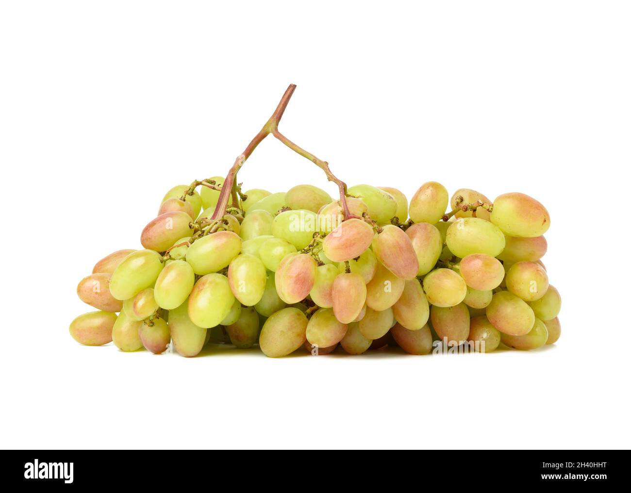 Ein Bund reifer grüner Trauben auf weißem Hintergrund, köstliche Sommerbeere Stockfoto