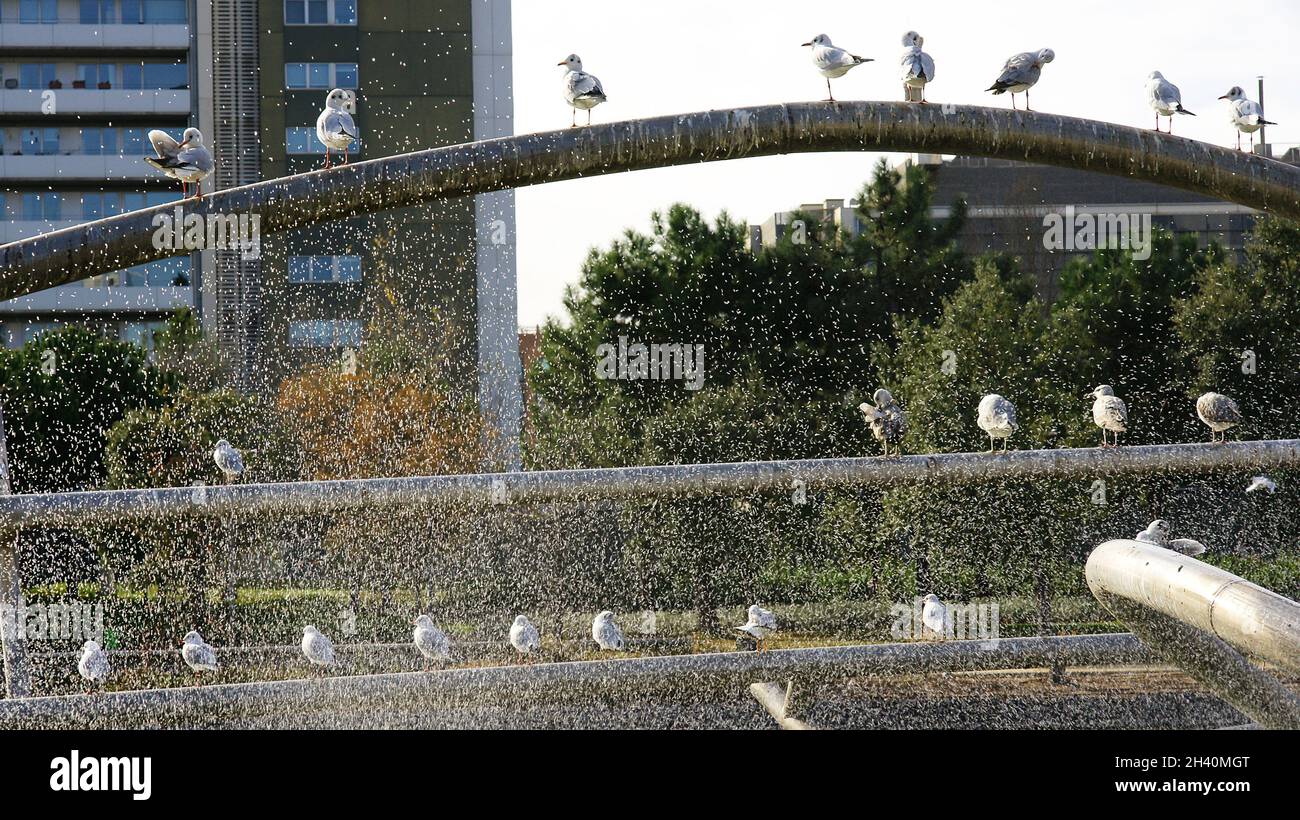 Parque de la Diagonal Mar en Barcelona, Catalunya, España, Europa Stockfoto