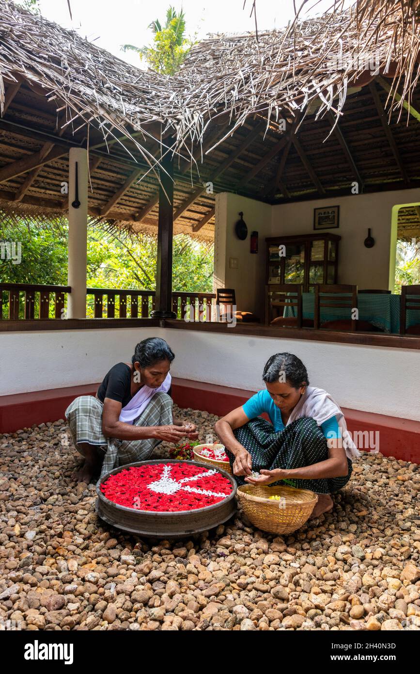 Ein paar indische Frauen bereiten in einem großen, mit Wasser gefüllten Topf auf Philipkuttys Farm auf einem von Menschen hergestellten i täglich einen frischen Hibiskus-Kosmos-Blütenknospen zu Stockfoto