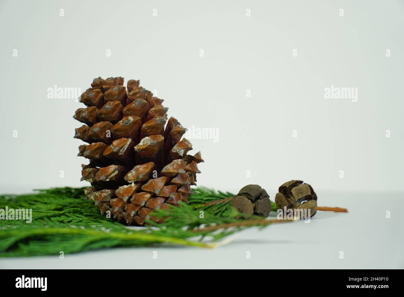 Weihnachten Konzept Idee weiß kopieren Raum selektive Fokus Foto Stockfoto