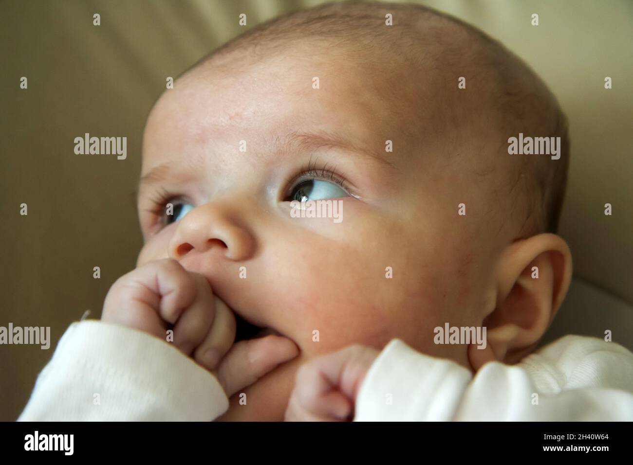 Das Portraitbild des Babys, das seine Hände saugt. Seinen Körper erforschen, seine Sinne entwickeln oder Zähne wachsen lassen. Stockfoto