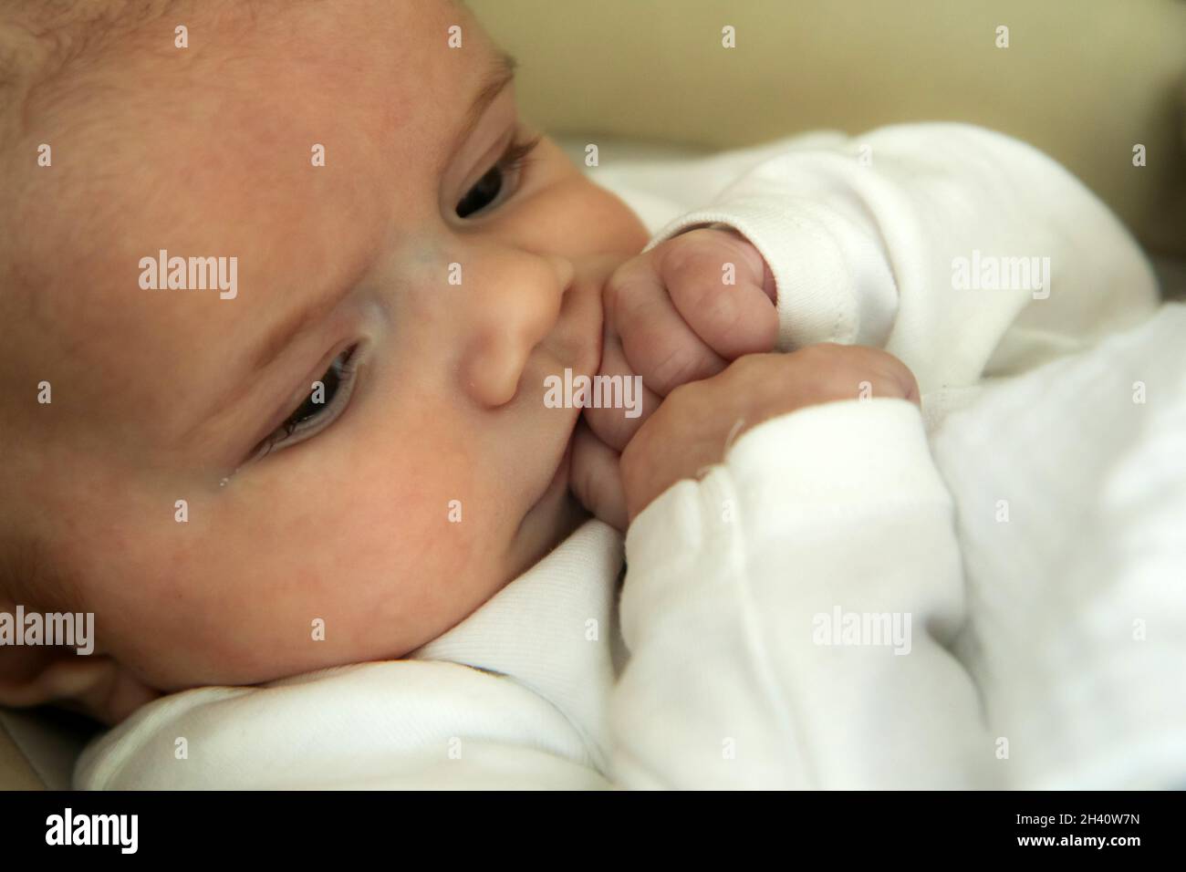 Das Portraitbild des Babys, das seine Hände saugt. Seinen Körper erforschen, seine Sinne entwickeln oder Zähne wachsen lassen. Stockfoto