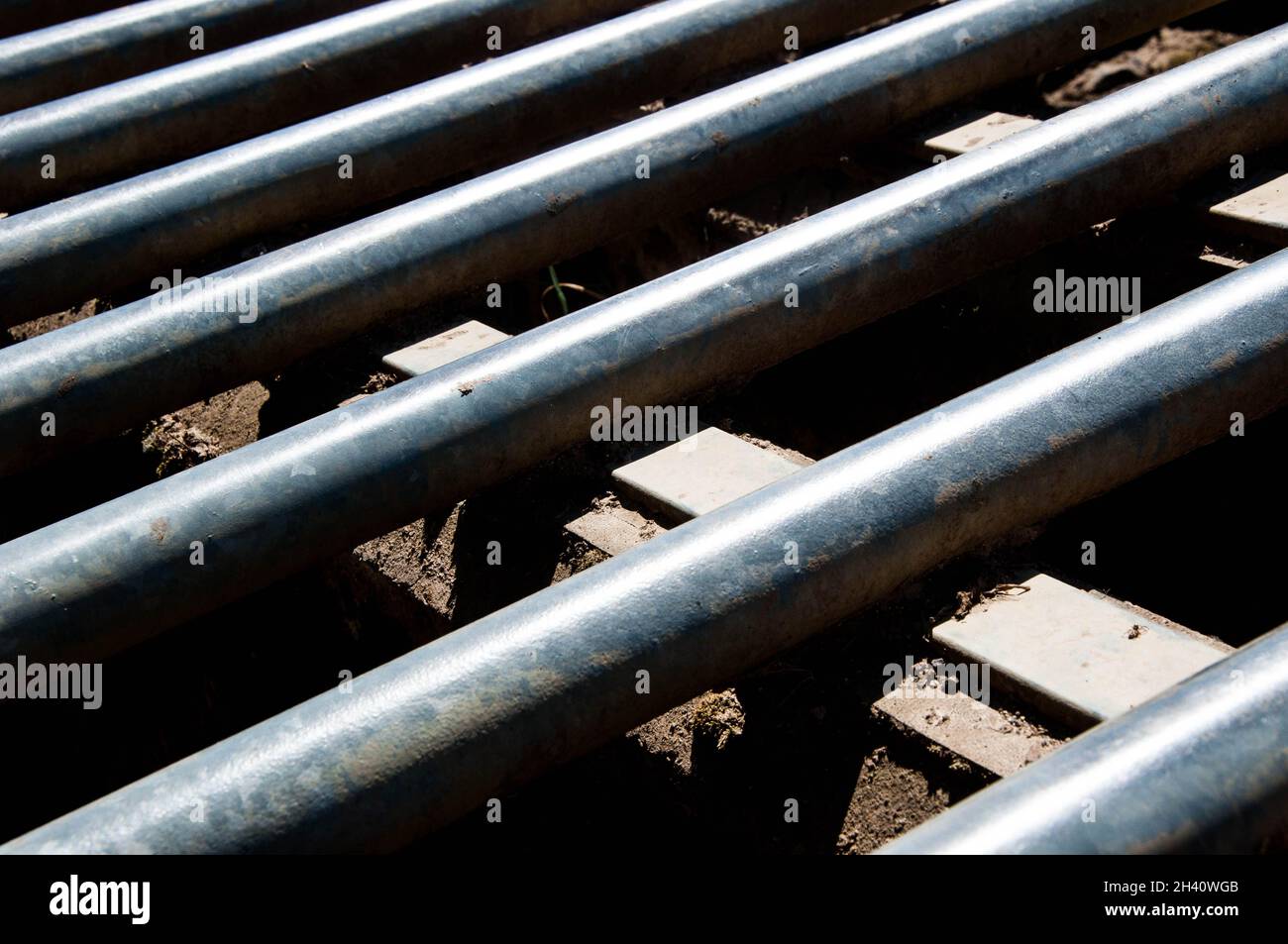 Nahaufnahme eines Metallrinderrasters mit Betonstützen Stockfoto