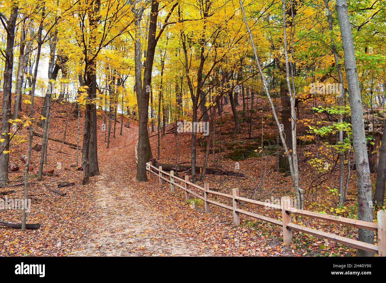 Herbstfarben bei Pewits Nest Stockfoto