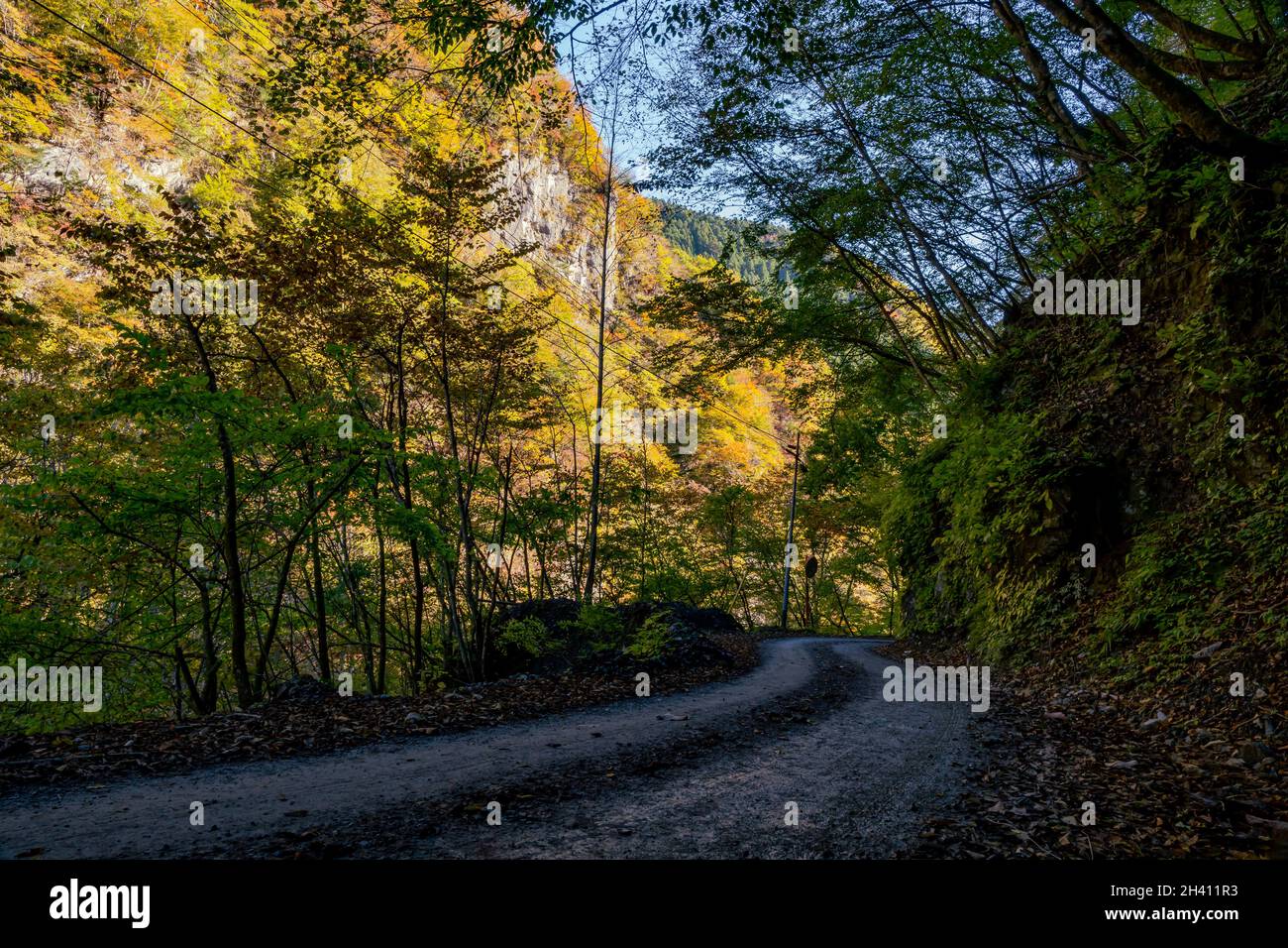 Ländliche Straße in den herbstlichen Wald und Berge Morgenzeit. Okutama Japan Stockfoto