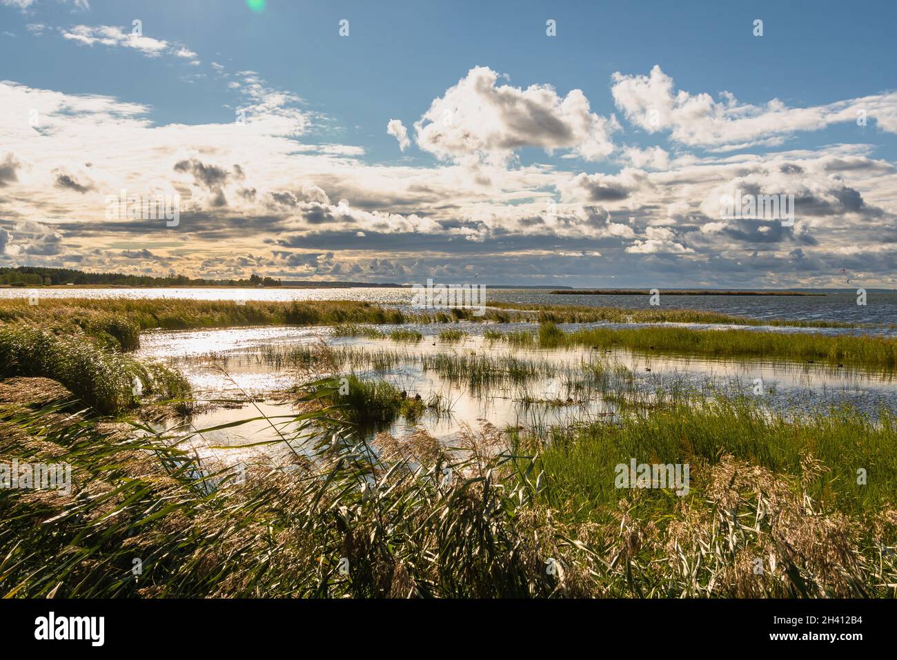 Haapsalu erstaunliches Dorf in Estland Stockfoto