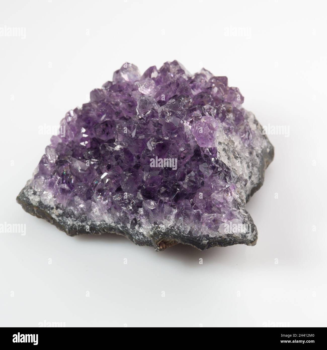 Natürliches violettes Amethyst-Druse-Cluster auf weißem Hintergrund Stockfoto