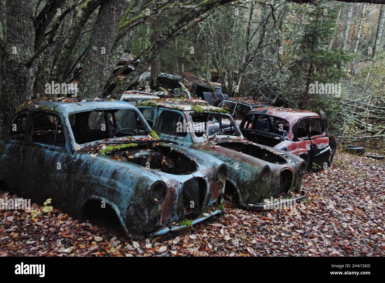 Bastnäs Autofriedhof im Oktober Stockfoto