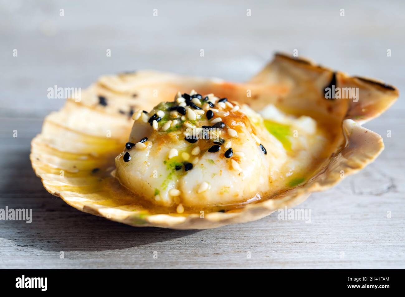 Gegrillter Jakobsmuschel mit Miso-Butter, Sesam und Petersilienöl Stockfoto