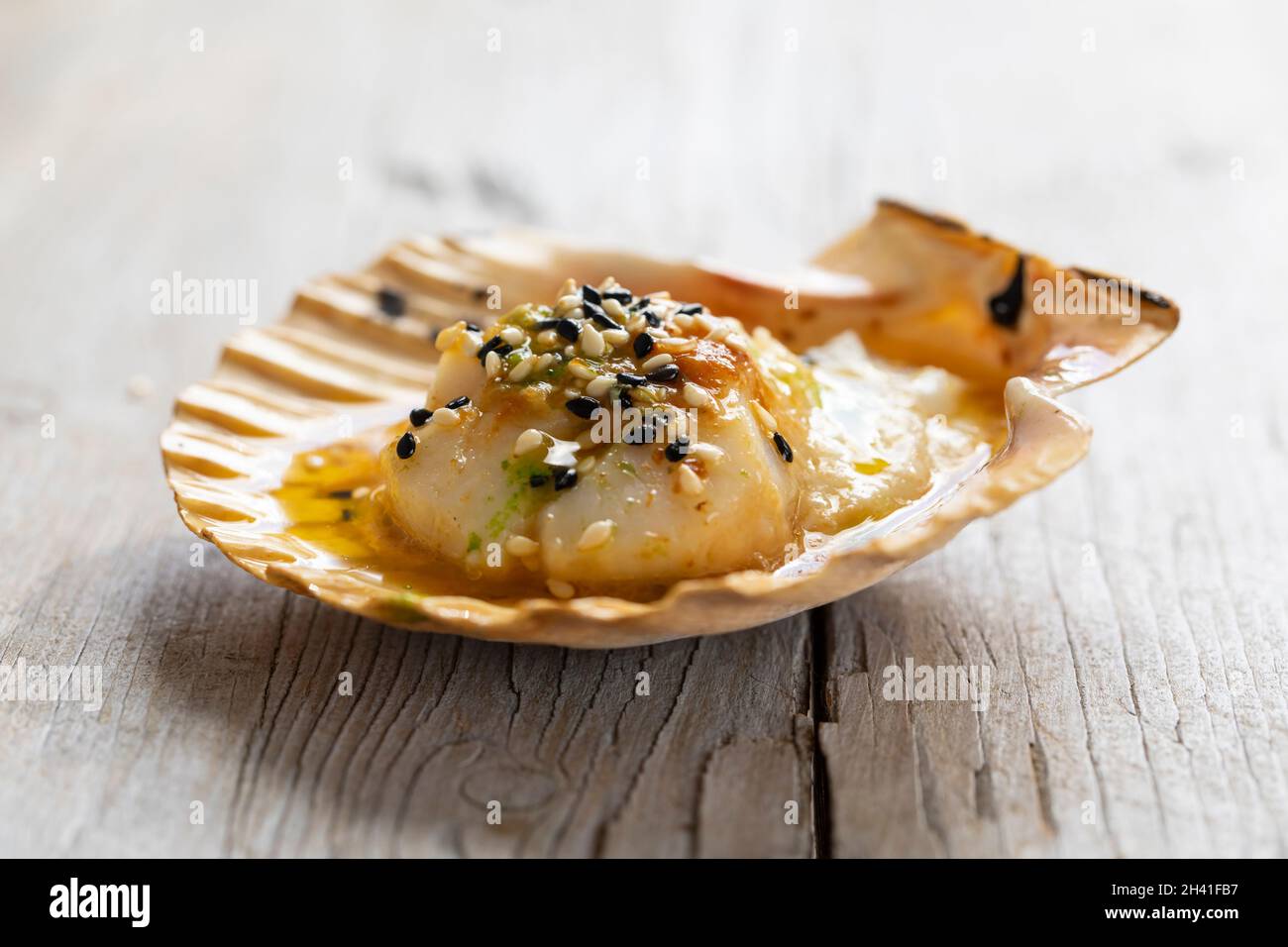 Gegrillter Jakobsmuschel mit Miso-Butter, Sesam und Petersilienöl Stockfoto