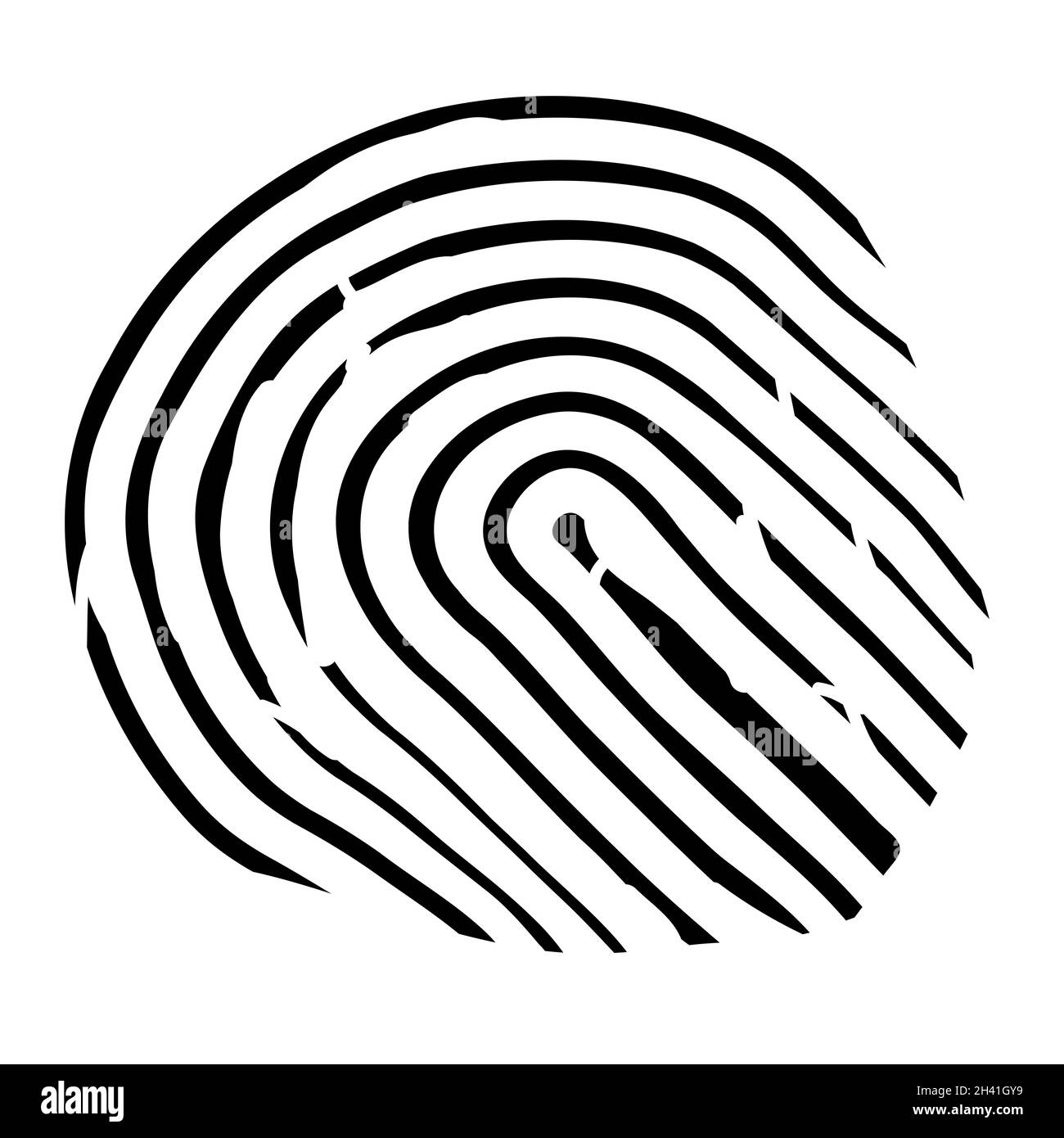 Eine abstrakte Linienzeichnung eines typischen menschlichen Fingerabdrucks auf einem weißen Hintergrund Stockfoto