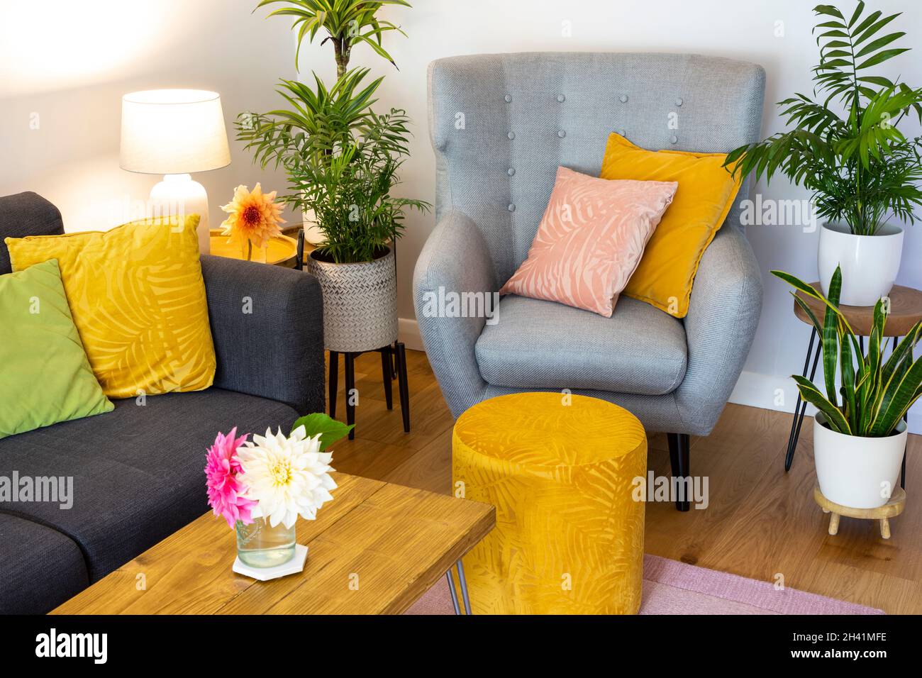 Ecke des eliving Zimmer mit Sessel und viele Pflanzen Haus Stockfoto