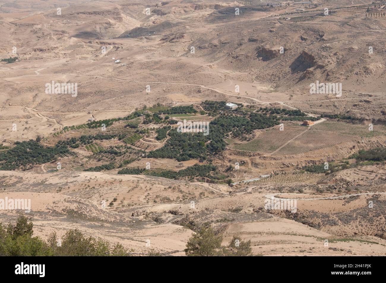 Blick vom Mount Nebo, Jordanien, Mittlerer Osten. Wenig Vegetation, trockenes Land. Es wird angenommen, dass Moses von hier aus das gelobte Land gesehen und auf dem m gestorben ist Stockfoto