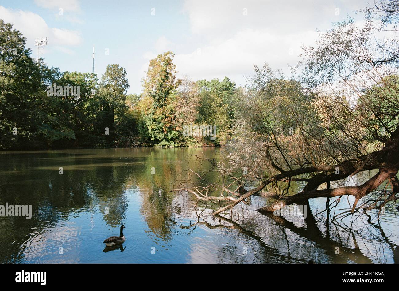 Der Bootsee im Crystal Palace Park, South London, Großbritannien, mit Blick nach Norden in Richtung des Fernsehsenders Stockfoto