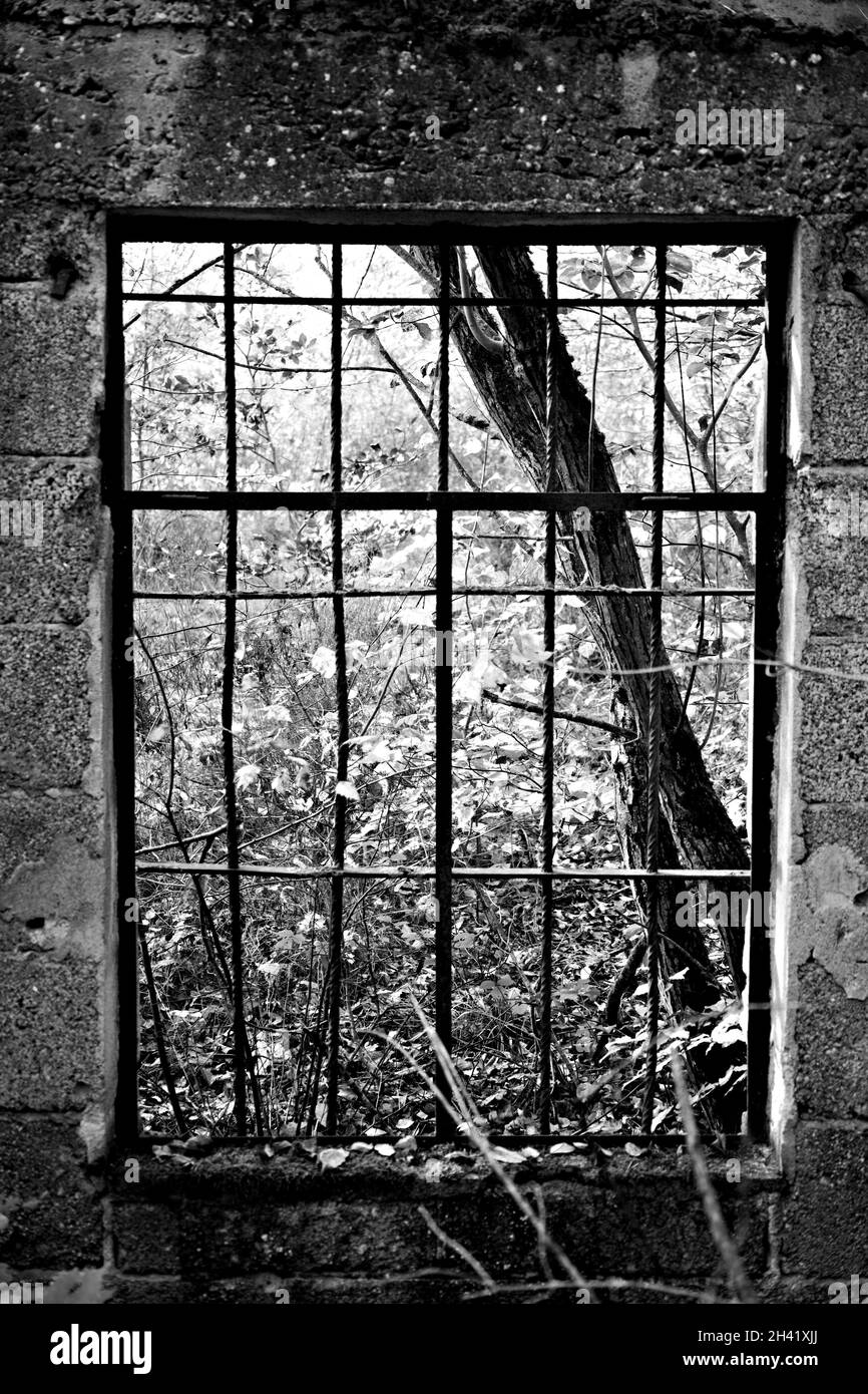 Schwarz / weiß-Fenster Stockfoto