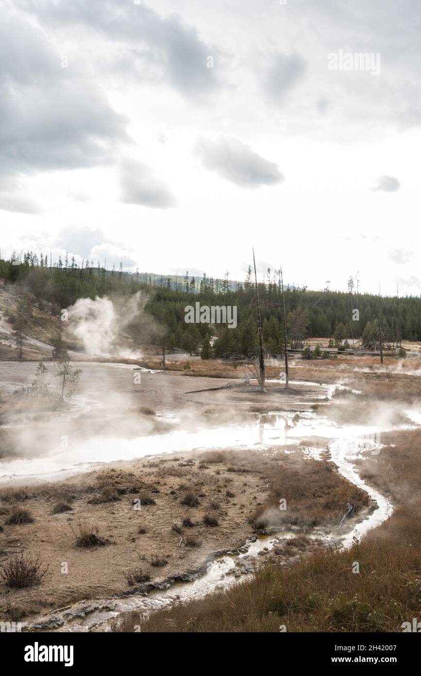 Steaming Mud Pod Area im berühmten Yellowstone National Park, USA Stockfoto