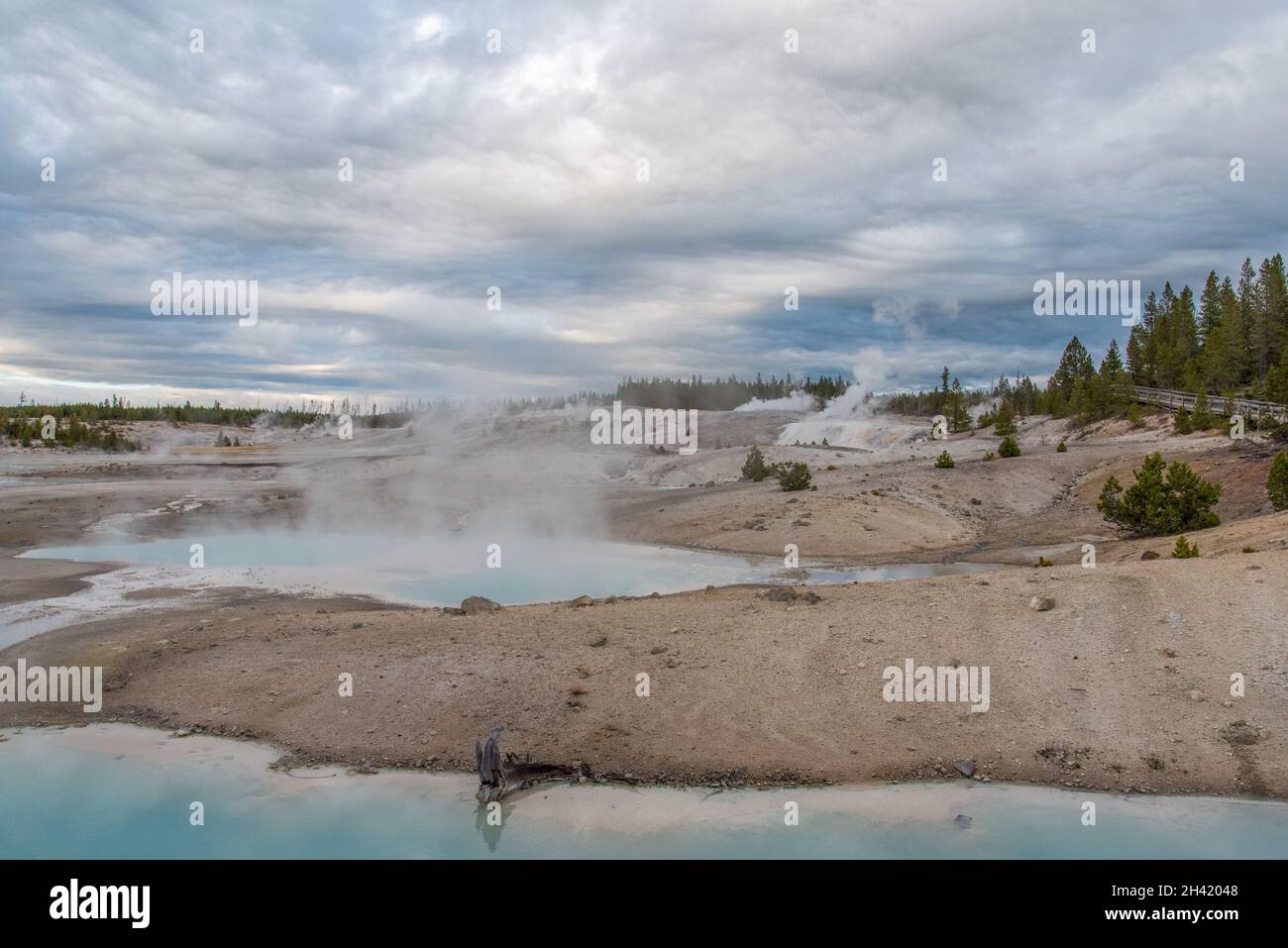 Steaming Mud Pod Area im berühmten Yellowstone National Park, USA Stockfoto