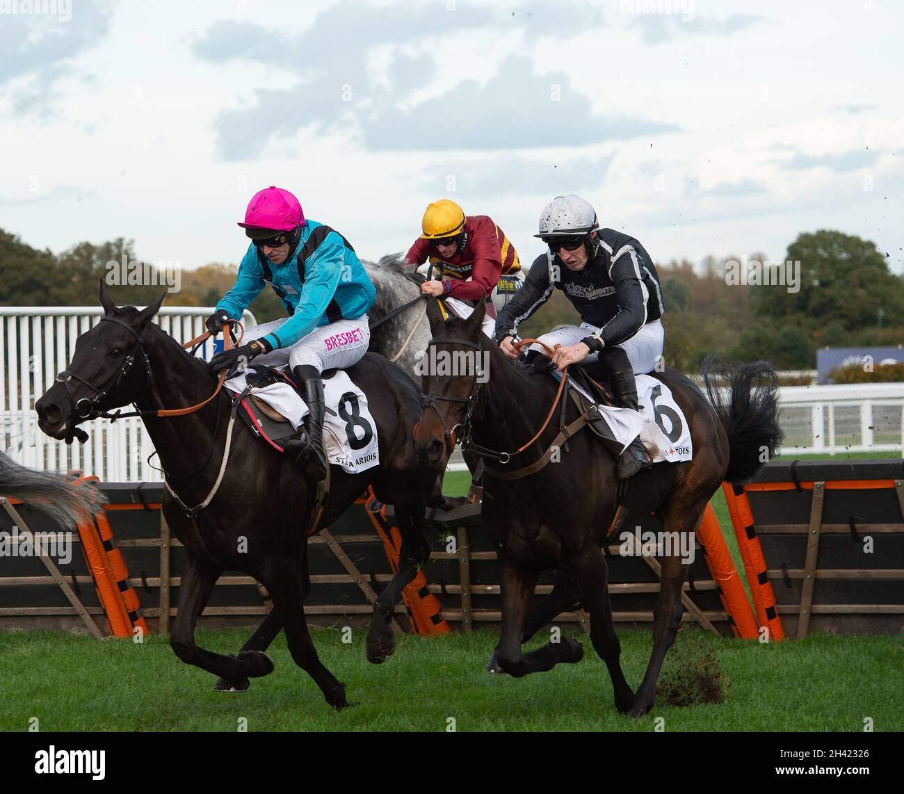 Ascot, Bergen, Großbritannien. 30. Oktober 2021. Jockey Paddy Brennan (rosa Mütze) Reitpferd Peking Rose und Jockey Ciaran Gethings (schwarze Seide) Reitpferd Mexiko im Stella Artois Novices' Hurdle Race (Klasse 3) (GBB Race). Quelle: Maureen McLean/Alamy Stockfoto