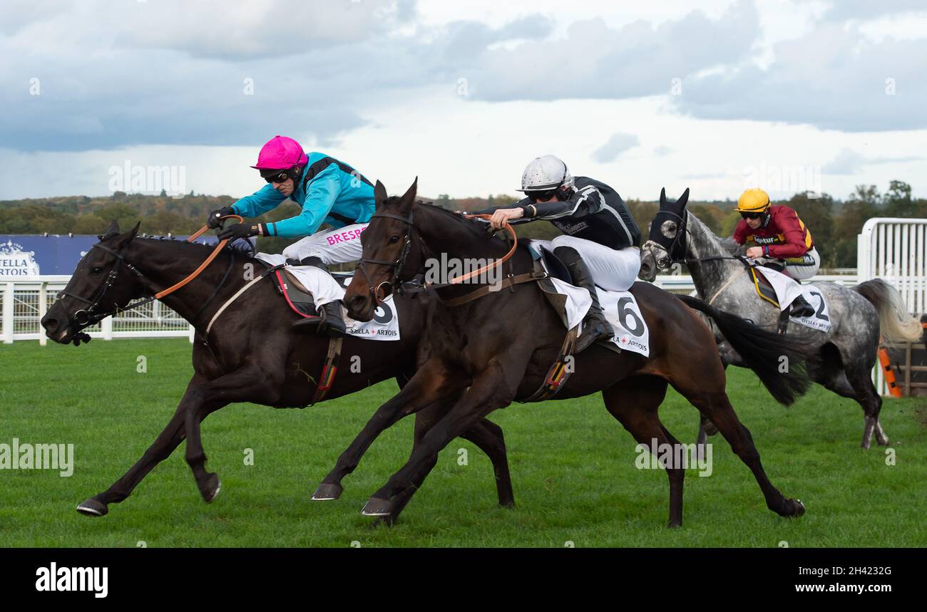Ascot, Bergen, Großbritannien. 30. Oktober 2021. Jockey Paddy Brennan (rosa Mütze) Reitpferd Peking Rose und Jockey Ciaran Gethings (schwarze Seide) Reitpferd Mexiko im Stella Artois Novices' Hurdle Race (Klasse 3) (GBB Race). Quelle: Maureen McLean/Alamy Stockfoto