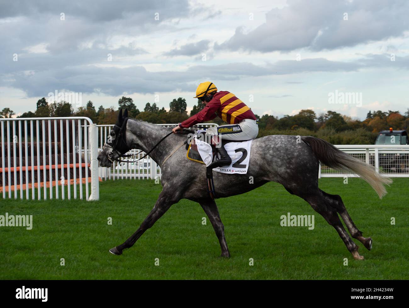 Ascot, Bergen, Großbritannien. 30. Oktober 2021. Jockey Sam Twiston-Davies reitet auf dem Super Six im Stella Artois Novices' Hurdle Race (Klasse 3) (GBB Race). Quelle: Maureen McLean/Alamy Stockfoto