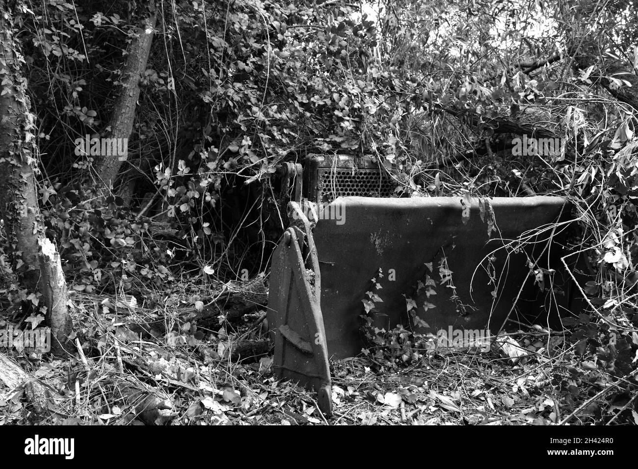 September 2021 - der vordere Eimer eines alten verlassenen Raupenbaggers im Wald Stockfoto