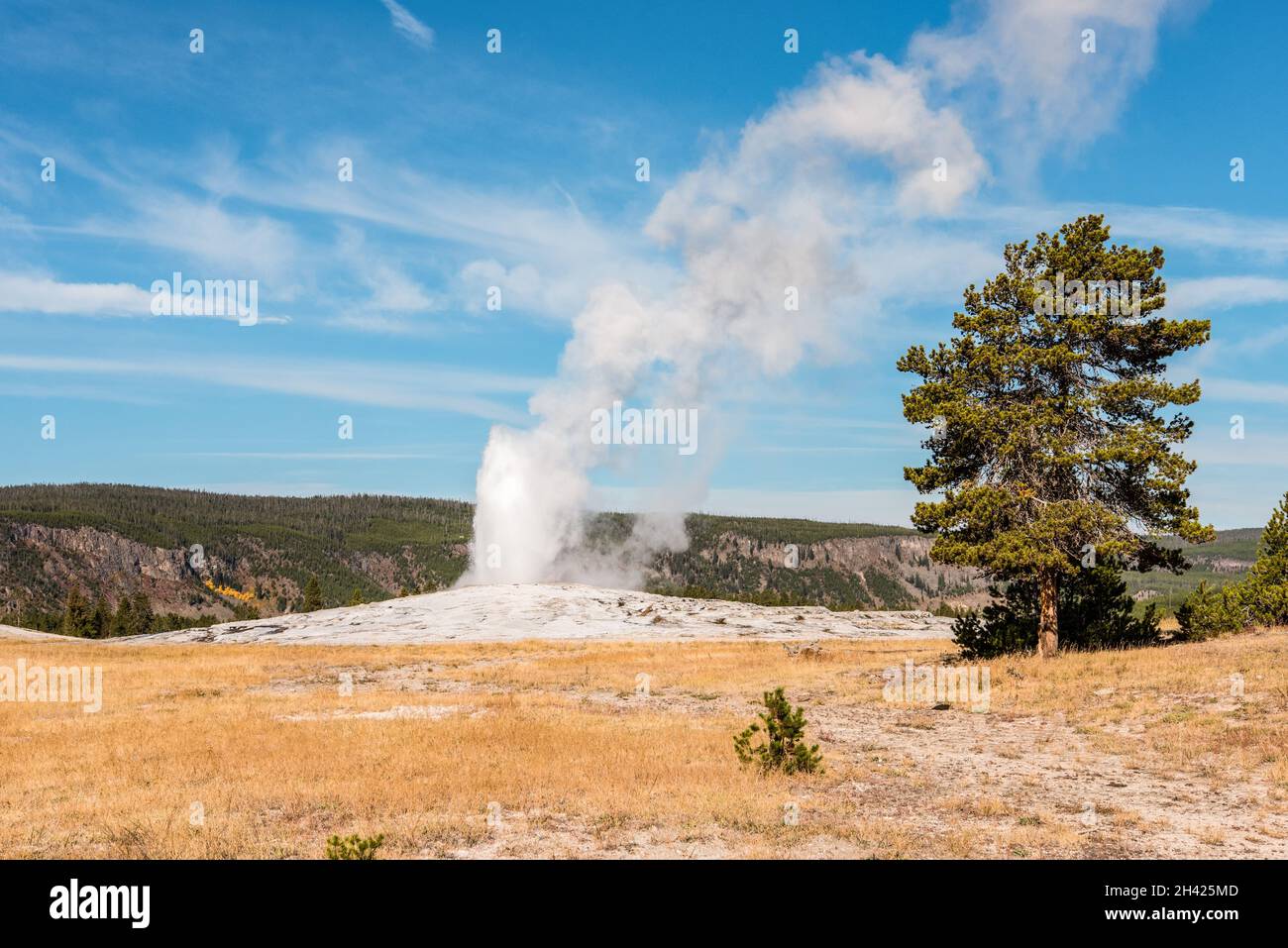 Was Passiert Wenn Der Yellowstone Ausbricht Berühmter alttreuer Geysir, der ausbricht, Yellowstone-Nationalpark
