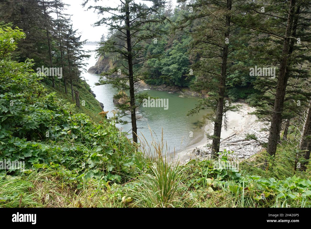 Cape Disappointment Light House und State Park wurden um eine alte Artilleriebatterie herum gebaut Stockfoto