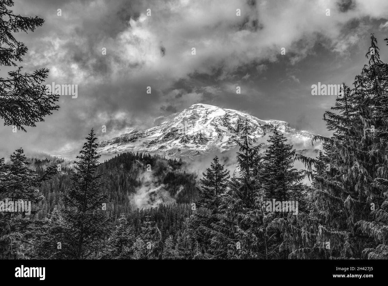 Der Mt Rainier, der sich hinter Wolken versteckt, vom Nisqually River aus gesehen, USA Stockfoto