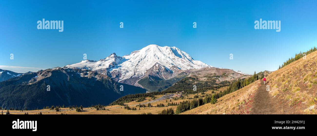 Wolkenloser Blick auf Mt Rainier vom Mt Fremont Lookout Trail, USA Stockfoto