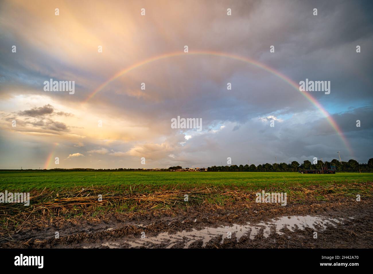 Heller Regenbogen über der niederländischen Landschaft nach einem Gewitter, das eine gute Menge Regen zurückließ Stockfoto