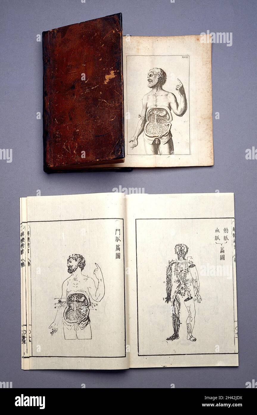 J. A. Kulmus, Tabulae anatomicae, Danzig: Stockfoto