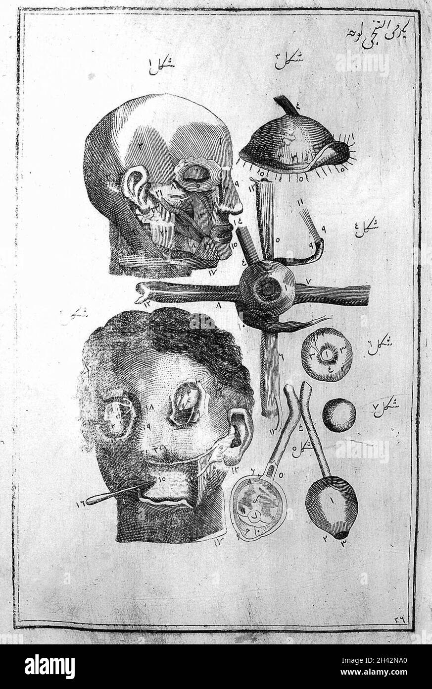 Blick auf den Ecorche Head Stockfoto